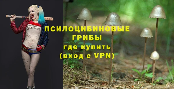герыч Заволжск