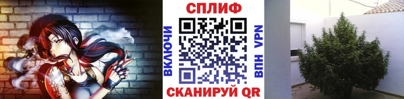 Шишки марихуана планчик  купить наркотики сайты  Сосногорск 